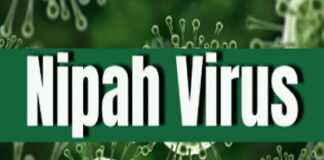 St. Vincent is closely monitoring the Nipah virus. St Vincent Ministry of Health issues statement monitoring Nipah virus cases in other countries while confirming low risk classification with no suspected or confirmed cases in St Vincent and the Grenadines