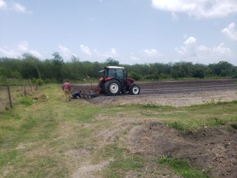 ANTIGUA – Antigua boosts agriculture with new machinery and high-tech plant lab.