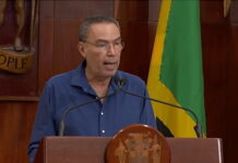 JAMAICA-Government cautions about premature disclosure of geochemical survey findings.