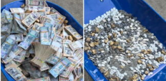 GUYANA-Opposition leader pays court fines with cash and coins carried in two wheelbarrows.