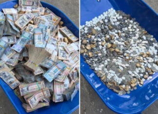 GUYANA-Opposition leader pays court fines with cash and coins carried in two wheelbarrows.