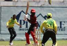 CRICKET-Windwards, Jamaica, Guyana seal final round wins in Rising Stars U15 series.