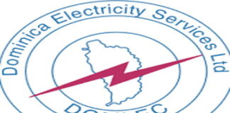 DOMINICA-DOMLEC increases fuel surcharge to customers. DOMLEC bill showing increased fuel surcharge with customer looking concerned