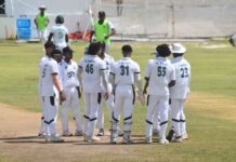 CRICKET-Final round showdown looms as playoff spots hang in the balance.