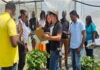 CARIBBEAN-IICA implements a regional project to strengthen sweet potato cultivation in Caribbean countries. IICA implements regional project to stregthen sweet potato cultivation in Caribbean countries