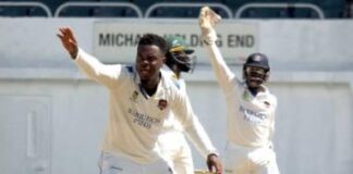 CRICKET-LEAD Pride thrash Scorpions to give themselves a chance of making the playoffs. Pride players celebrating big win over Scorpions with playoff hopes alive