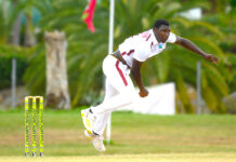 CRICKET-Humble, respectful, unstoppable: The making of Kelvin Pitman. Kelvin Pitman celebrating wicket with teammates on cricket field