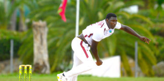 CRICKET-Humble, respectful, unstoppable: The making of Kelvin Pitman. Kelvin Pitman celebrating wicket with teammates on cricket field