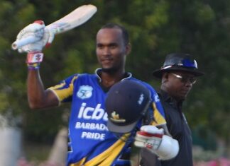 CRICKET-Brathwaite to lead under-strength Pride squad in four-day championship.