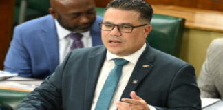 JAMAICA-Government to finalize carbon markets framework in 2026. Government announces plans to finalize national carbon markets framework next year