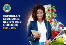 CARIBBEAN-Economic performance across the region remained subdued last year, according to the CDB. CDB economist presenting subdued economic performance chart for Caribbean region