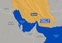 TRINIDAD-Chamber says Hormuz disruption could create export upside for Trinidad and Tobago. Trinidad Chamber of Commerce official presenting export opportunity charts