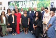 JAMAICA-Jamaica tops a million visitors in the first quarter after Hurricane Melissa. Jamaica tops a million visitors in the first quarter after Hurricane Melissa