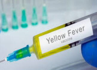 CARIBBEAN-PAHO releases new clinical guidelines for the treatment of severe yellow fever patients. Dr Ángel Rodríguez, PAHO advisor on clinical management of emerging diseases, holds the new clinical guidelines for managing patients with severe yellow fever, released in March 2026 to provide evidence-based recommendations for case detection, severity classification, and intensive care referral amid rising cases and a 45 percent case fatality rate in the Americas