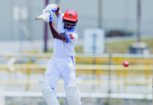 CRICKET-LEAD Permaul’s late strikes bring Harpy Eagles back into contention. LEAD Permaul’s late strikes bring Harpy Eagles back into contention