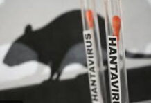 CARIBBEAN-CARPHA urges caution even as hantavirus incidence is low in the Caribbean. CARPHA official at podium with hantavirus prevention tips on screen