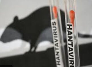 CARIBBEAN-CARPHA urges caution even as hantavirus incidence is low in the Caribbean. CARPHA official at podium with hantavirus prevention tips on screen