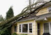 CARIBBEAN-Regional project launched to develop a strategy to retrofit homes against hurricanes and flooding.
