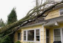 CARIBBEAN-Regional project launched to develop a strategy to retrofit homes against hurricanes and flooding.
