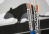 Health officials screening passengers at cruise port with hantavirus warning signs Health officials screening passengers at cruise port with hantavirus warning signs