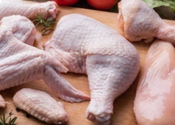 chicken-meat